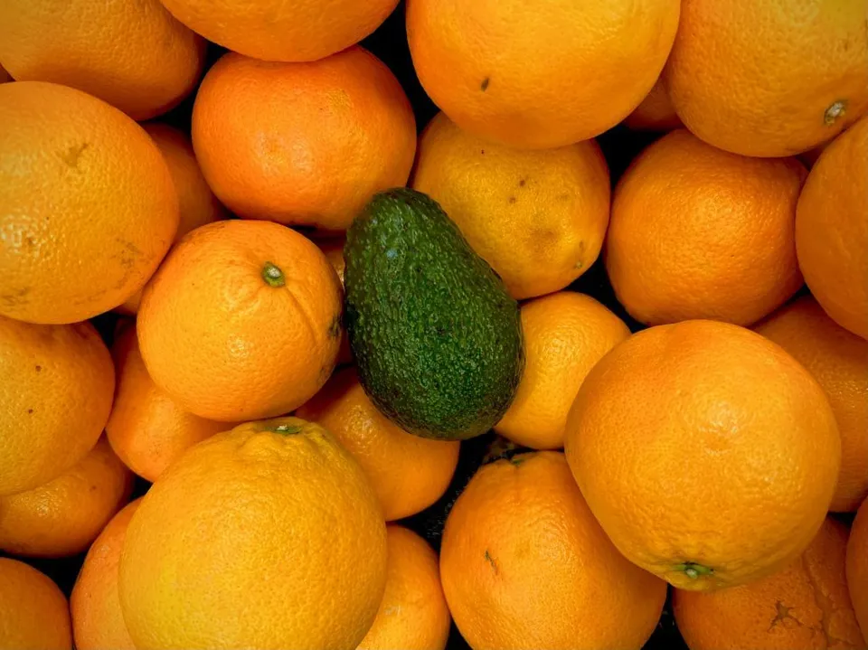 food-together-bio-avocado-orangen-kiste-avocados-und-orangen-aus-kreta image 1