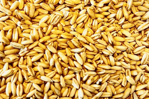 food-together-bio-hafer-ganzes-korn-heidegold image 1
