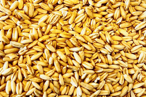 food-together-bio-hafer-ganzes-korn-heidegold image 1