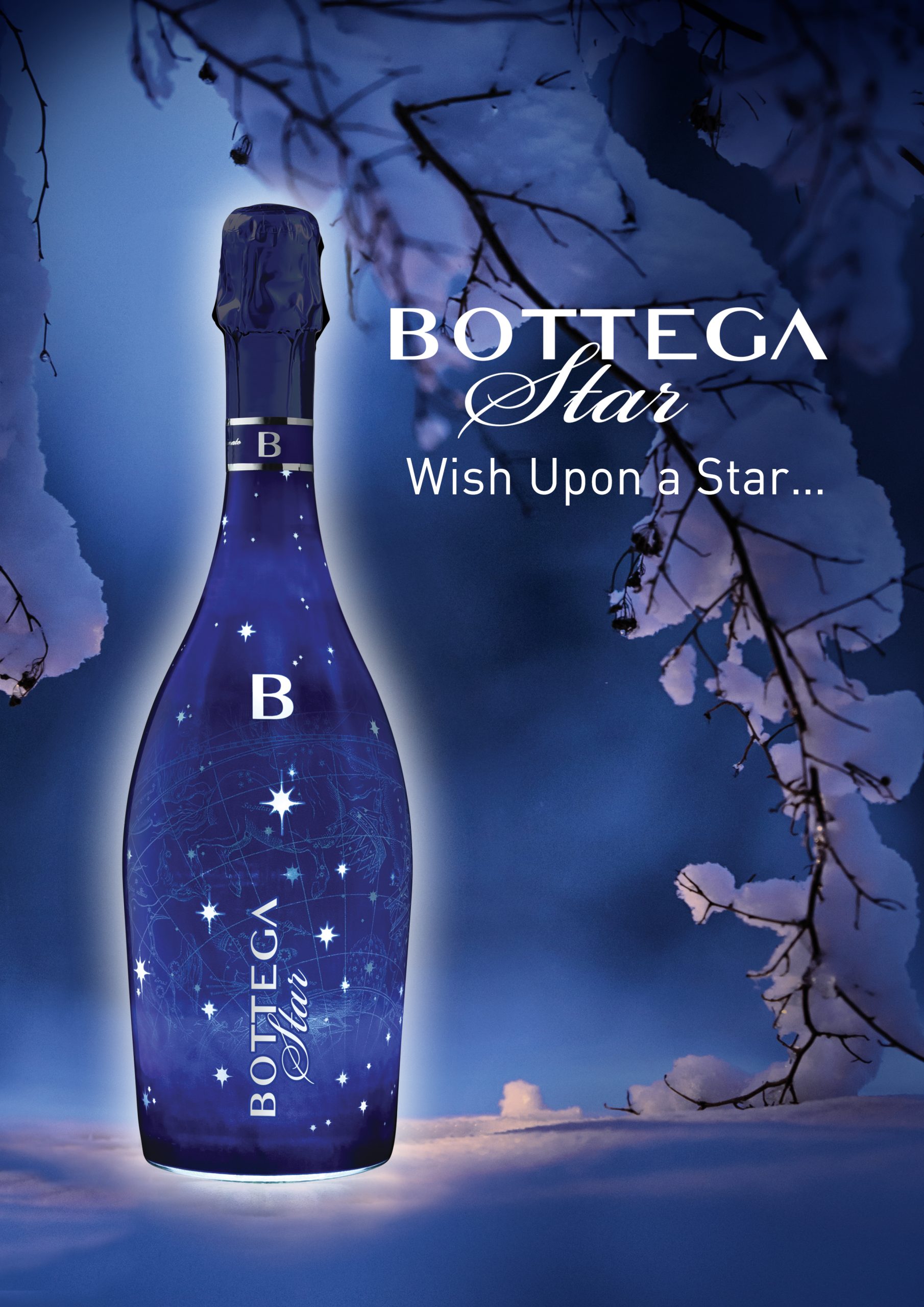 distilleria-bottega-bottega-star-prosecco-spumante image 5